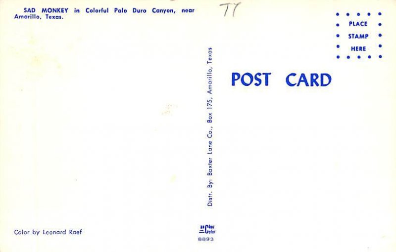 Sad Monkey Palo Duro Canyon - Amarillo, Texas TX