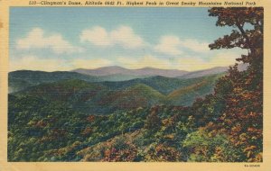 Clingmans Dome Highest Peak in Tennessee Great Smoky Mountains - pm 1948 - Linen