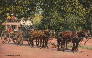 Vintage Postcard Pre-Railway Times By Stage Passenger Transportation Deadwood