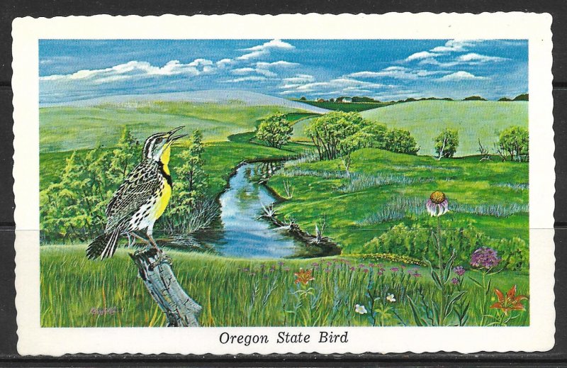 Oregon - State Bird - Western Meadowlark - [OR-005]