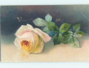 Pre-Linen BEAUTIFUL LARGE DETAILED WHITE ROSE FLOWER HL5754