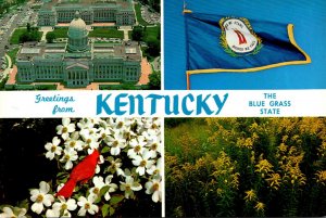 Kentucky Greetings From The Blue Grass State Showing State Capitol Flag Bird ...