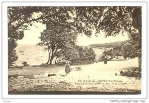 Sous Les Chenes Verts Du Bois De La Chaize, Ile De Noirmoutier (Vendee), Fran...