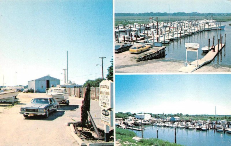 Cape May, NJ New Jersey  PHARO'S MARINA  Boat Dock~Marine Supplies  Postcard