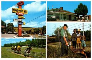 12316 New Brunswick Magneric Hill 1960´s Magnetic Hill Inn , Pony Rides, Zoo...