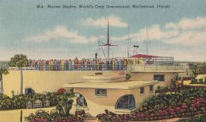 LP14  Marineland, Florida, FL, postcard, Marine Studios, 