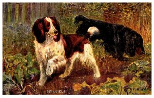 Dog   Spaniels , artist signed