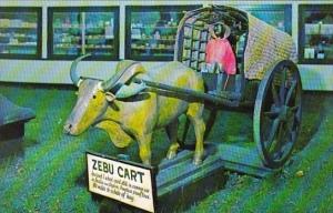 Perry's Tropical Nut House Belfast Maine