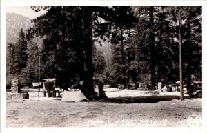 Public Campground, Crystal Lake California RPPC Vintage Postcard G01