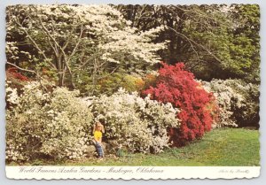 Muskogee Oklahoma~Honor Heights Park Azalea Gardens~Continental Postcard