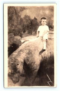 Postcard NY Staten Island Boy Riding Prop Polar Bear Studio Photo RPPC Photo G02