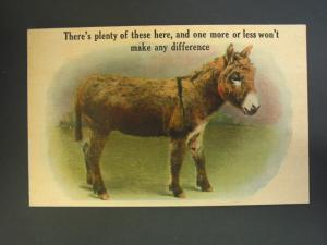DONKEY \Plenty of These Here\ c1910 Postcard