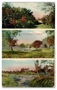 Early 1900s Scenes in Northeast Park, Oklahoma City, OK Postcard