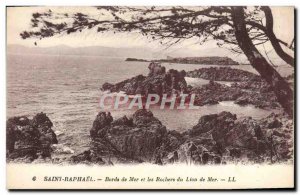 Old Postcard Saint Raphael Edges Sea and Rocks Sea Lion