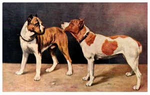 Dog ,  Pair of Dogs