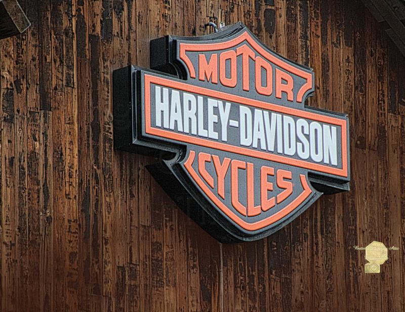 Single (1)Fine Art Photography Postcard Harley Davidson Sign in West Jordan Utah