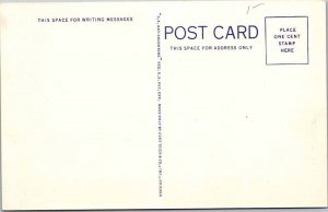 Postcard LIBRARY SCENE Tucson Arizona AZ AK5875