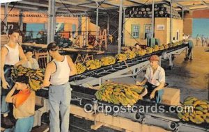 Unloading Bananas New Orleans Unused 