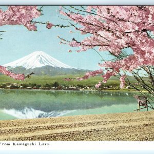 c1950s Japan Mt Fuji from Kawaguchi Lake Photo Postcard Cherry Blossoms Tree A31 