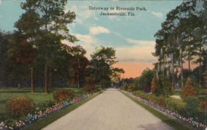 Florida Jacksonville Driveway In Riverside Park 1913