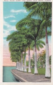 Florida Palm Beach Royal Palms Along Lake Worth 1935 Curteich