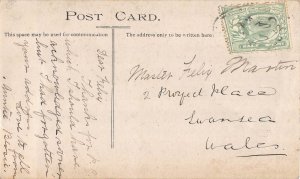 Ethnic Scottish Boy in Kilt posing near Tree Branches vintage postcard