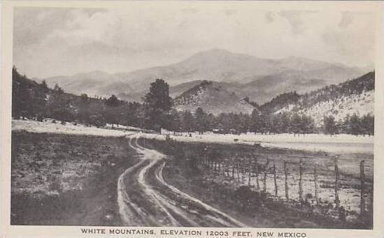 New Mexico White Mountain Elevation 12003 Feet Albertype