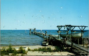 Vtg Commercial Fishing Dock Jacksonport Door County Wisconsin WI Postcard