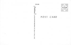 Golf Postcard Doctors Say Golf Relaxes the Nerves Comic Unused