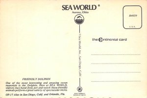Friendly Dolphins, Sea Worls Aurora, Ohio OH Postcard