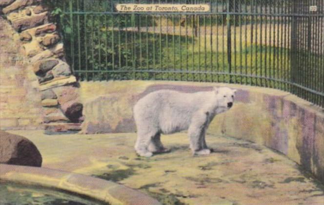 Canada Ontario Toronto Zoo The Bear Pit
