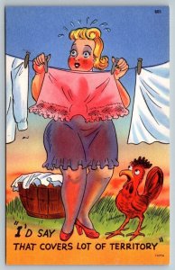 Comic Humor  Large Women  With Chicken  Hanging Laundry   Postcard