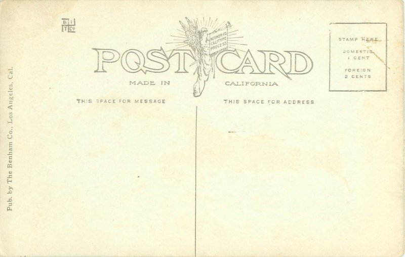 Arizona State Capitol Building Pre-1915 Divided Back Postcard