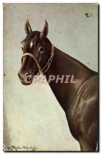 Old Postcard Horse Riding Equestrian Illustrator