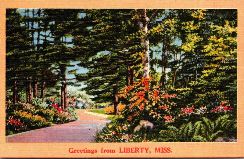 Mississippi Greetings From Liberty Forest Road Scene