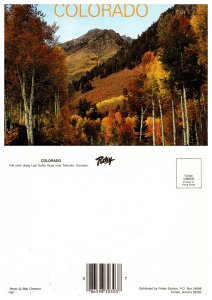 Colorado, Fall Color along Last Dollar Road near Telluride, Colorado (8375)