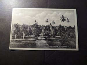 Mint British Zanzibar RPPC Postcard Clove Avenue