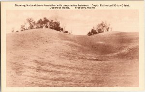 Natural Dune Formation, Ravine Desert of Maine Freeport ME Vtg Postcard O08