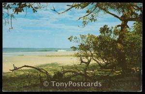 Playas de Avellanas