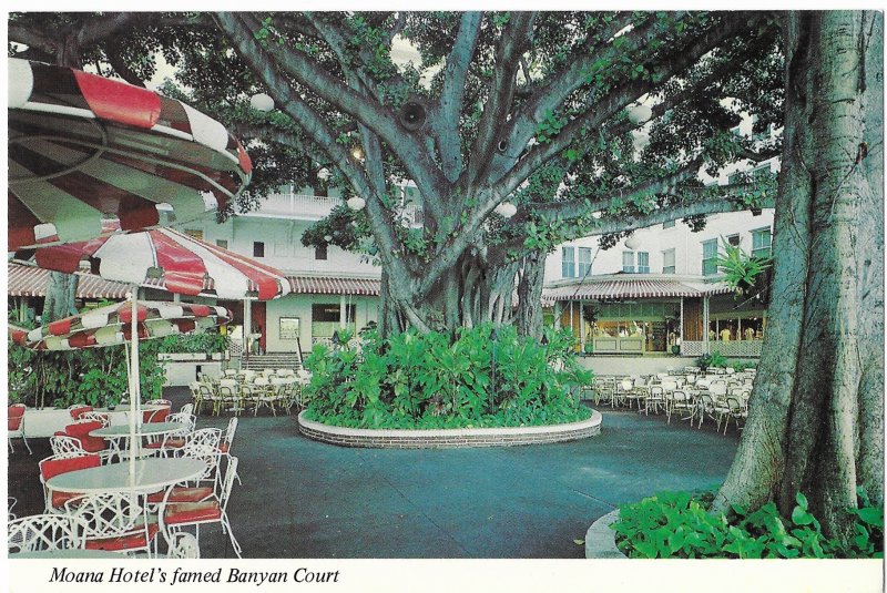 Moana Hotel's Banyan Court on the Shores of Waikiki Beach Oahu Hawaii 4 by 6