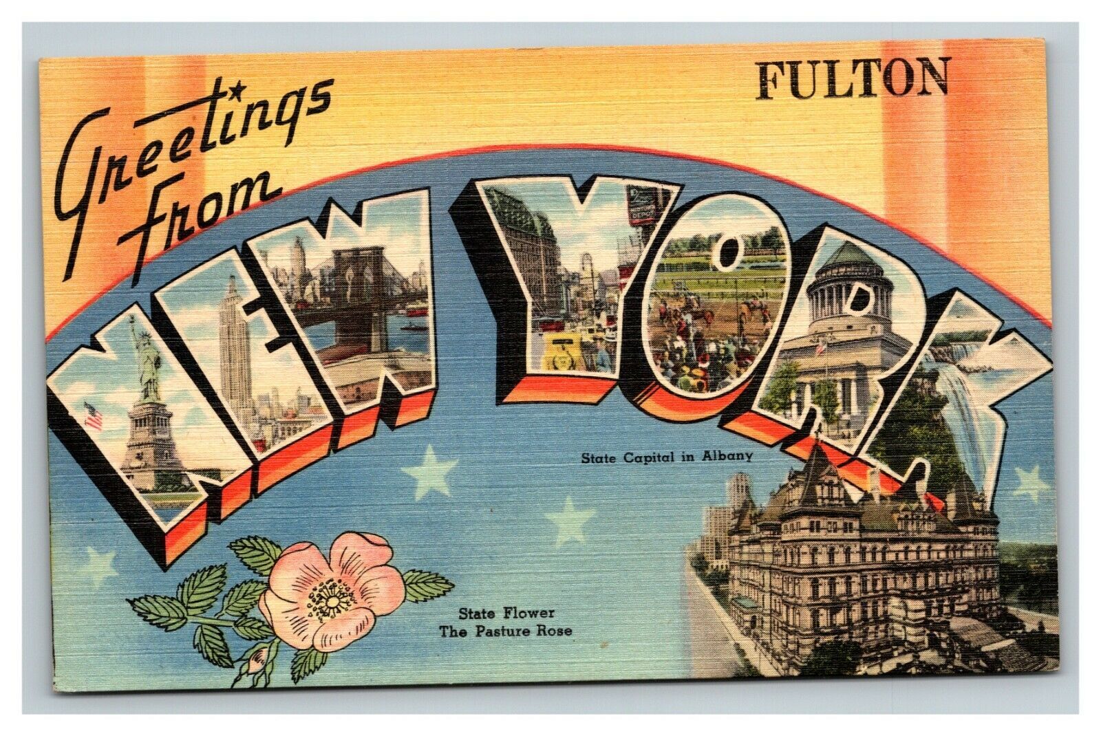 Vintage 1940's Postcard Greetings From Fulton New York State Flower