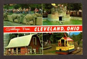 OH Greetings from CLEVELAND OHIO Zoo Elephants