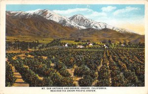 Mt. San Antonio and Orange Groves San Bernardino CA