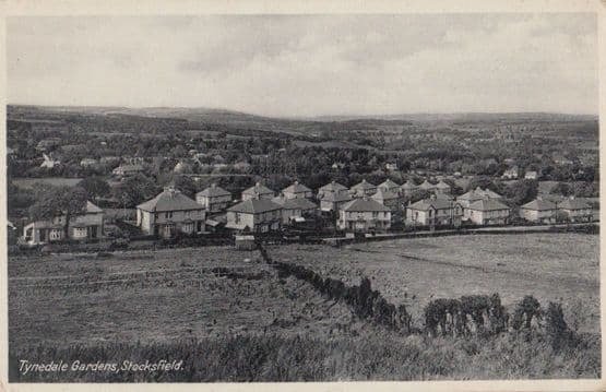 Tynedale Gardens Stocksfield Northumberland Vintage Aerial Postcard