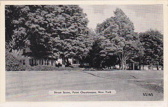 New York Point Chautauqua Street Scene Dexter Press