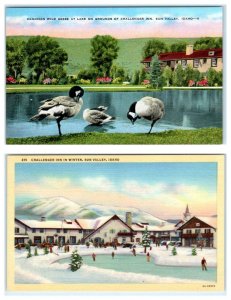 2 Postcards SUN VALLEY, ID ~ Winter & Canadian Geese CHALLENGER INN c1940s Linen