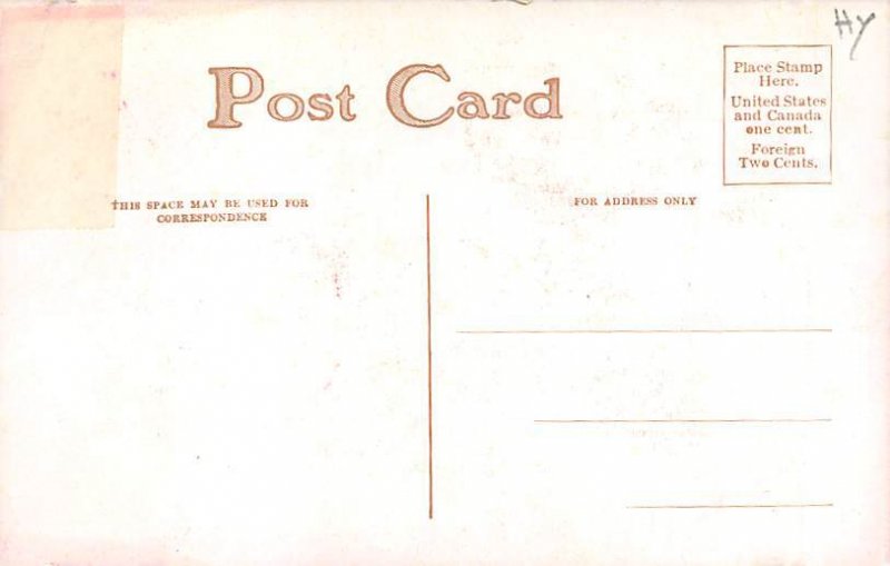 Cat Cats, Kitten Unused 