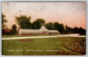 Davenport Iowa Palm House Central Park Postcard A27