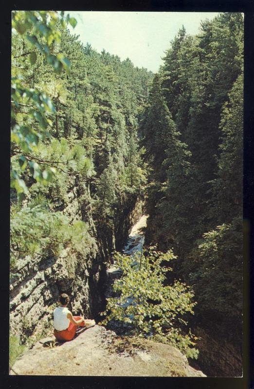 Awesome Ausable Chasm, New York/NY Postcard, Bird's Eye View