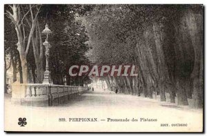 Perpignan - Plantanes Promenades Old Postcard